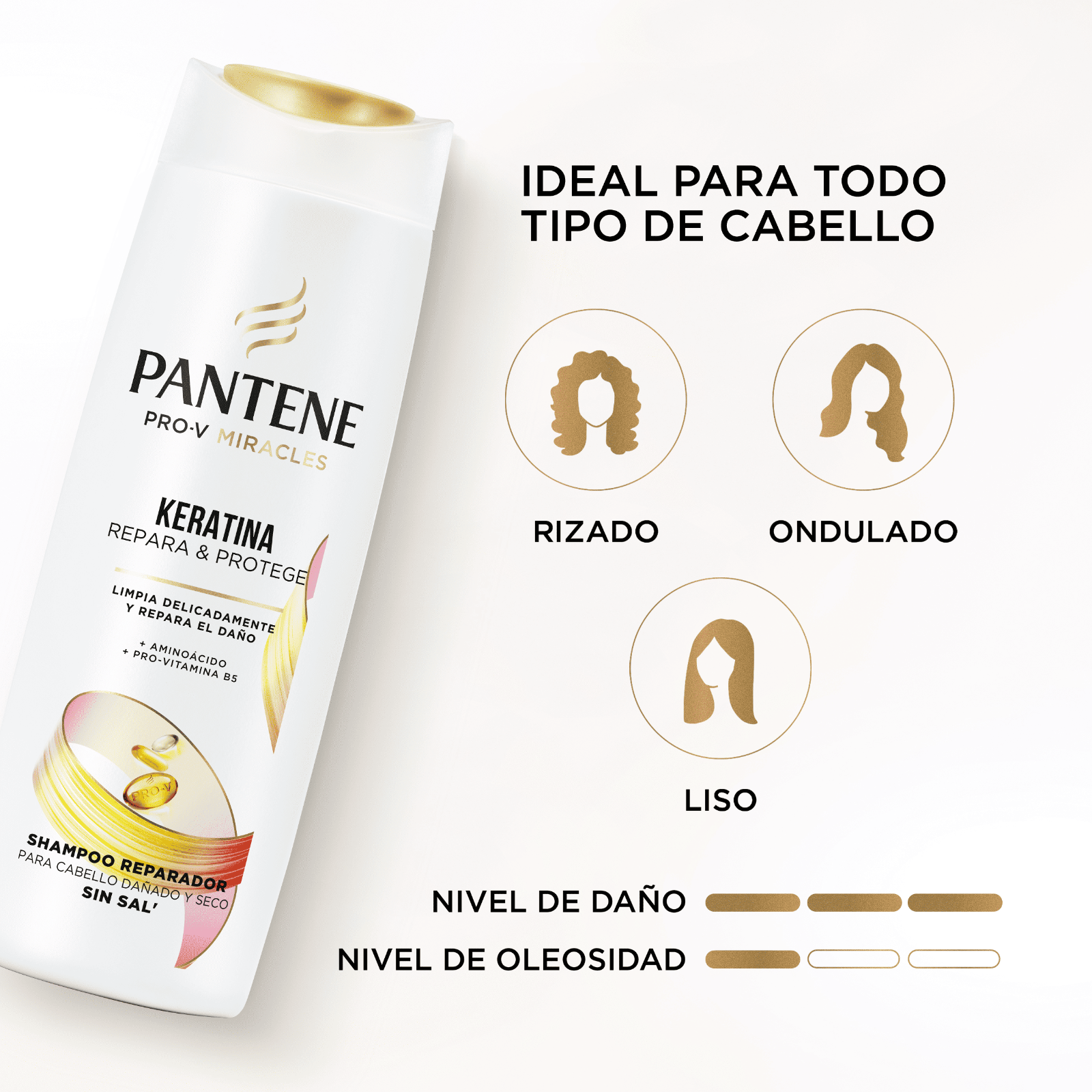 Shampoo Keratina Repara & Protege - 3