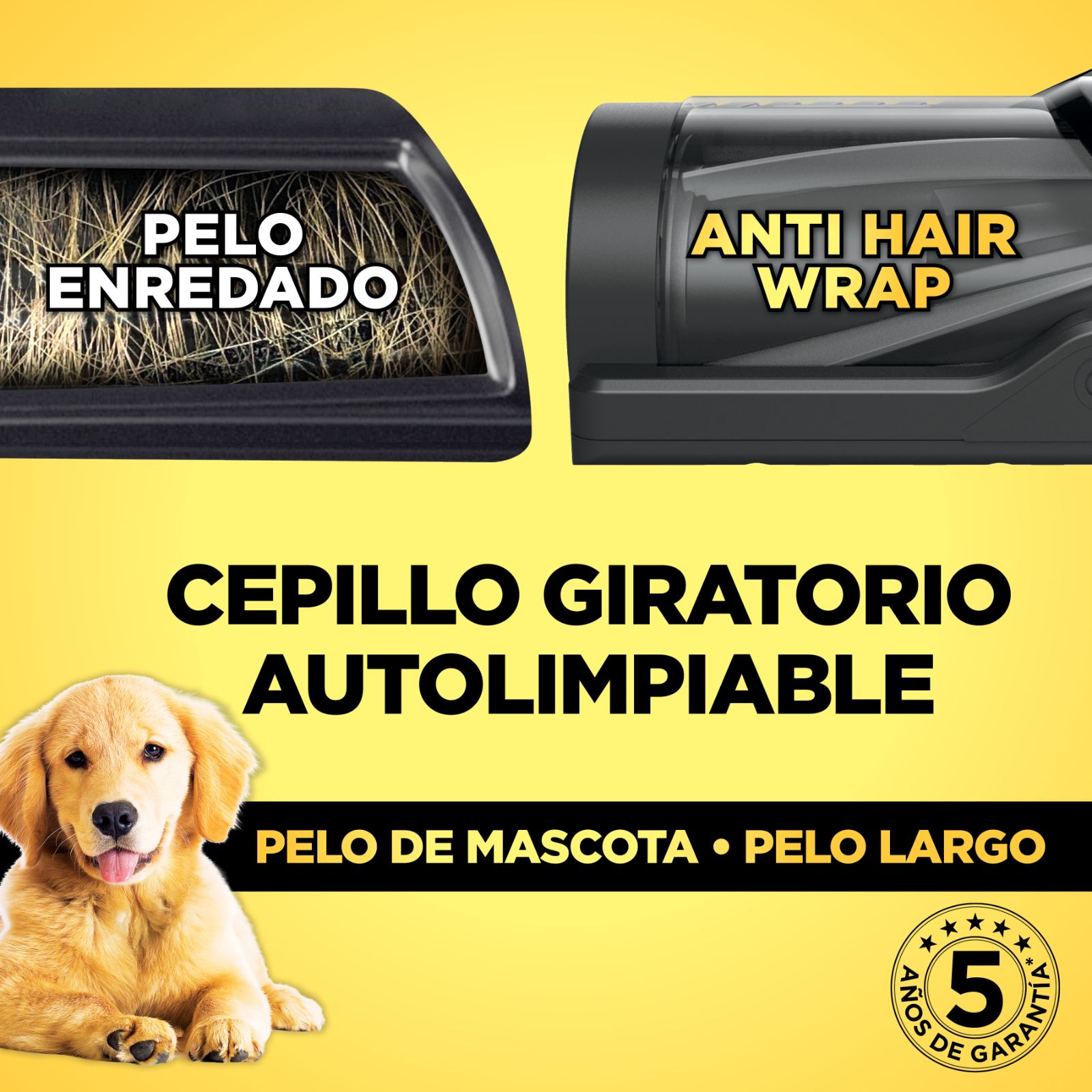 Imagen 7