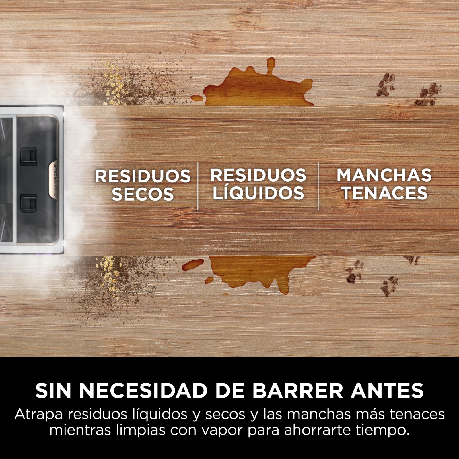 Imagen 7
