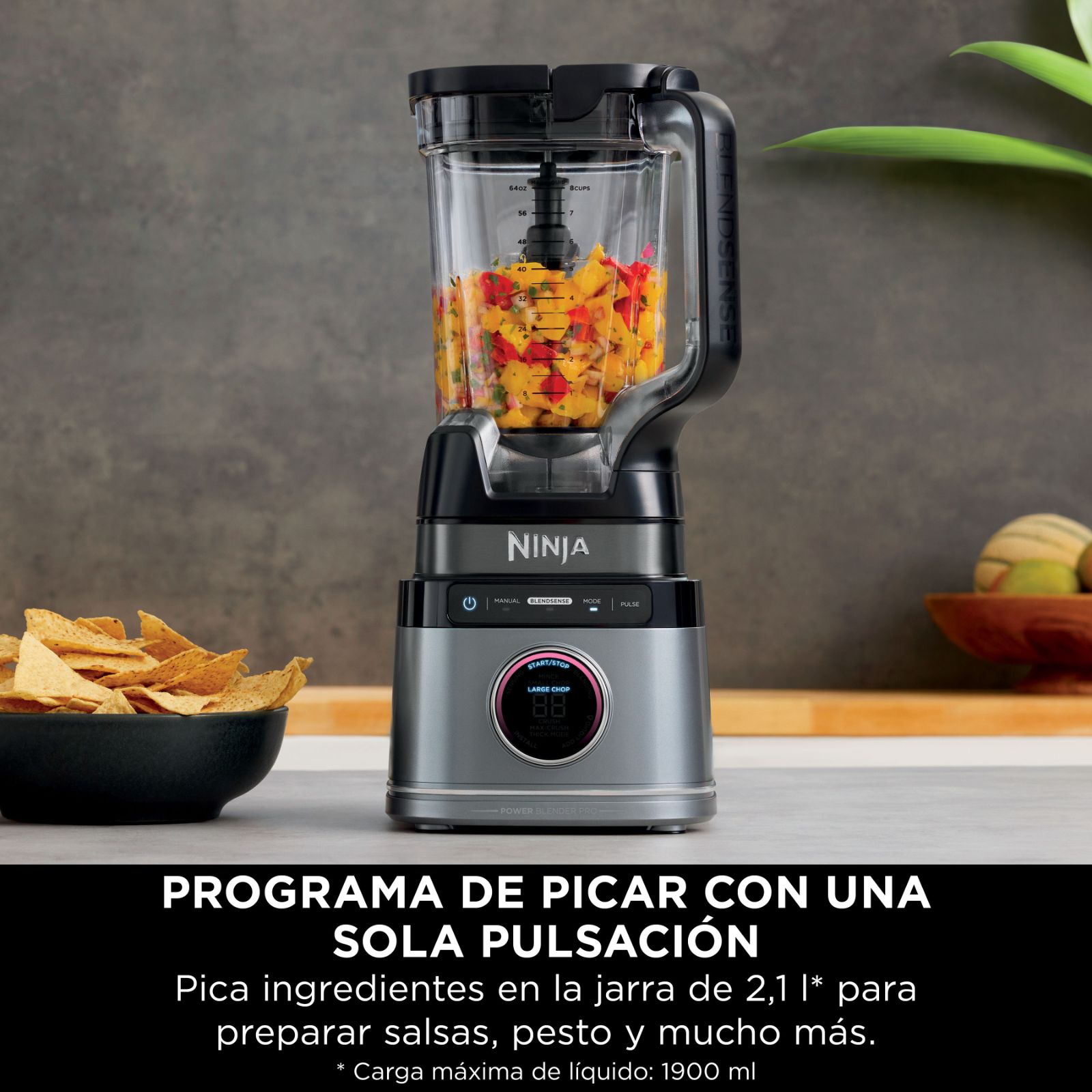 Imagen 11