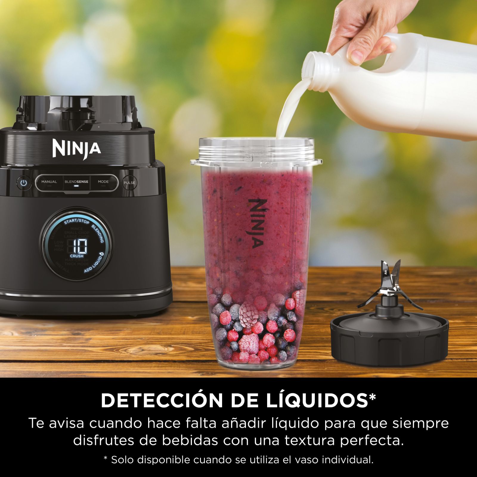 Imagen 6