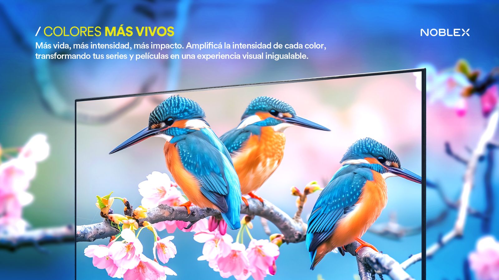 Imagen 5