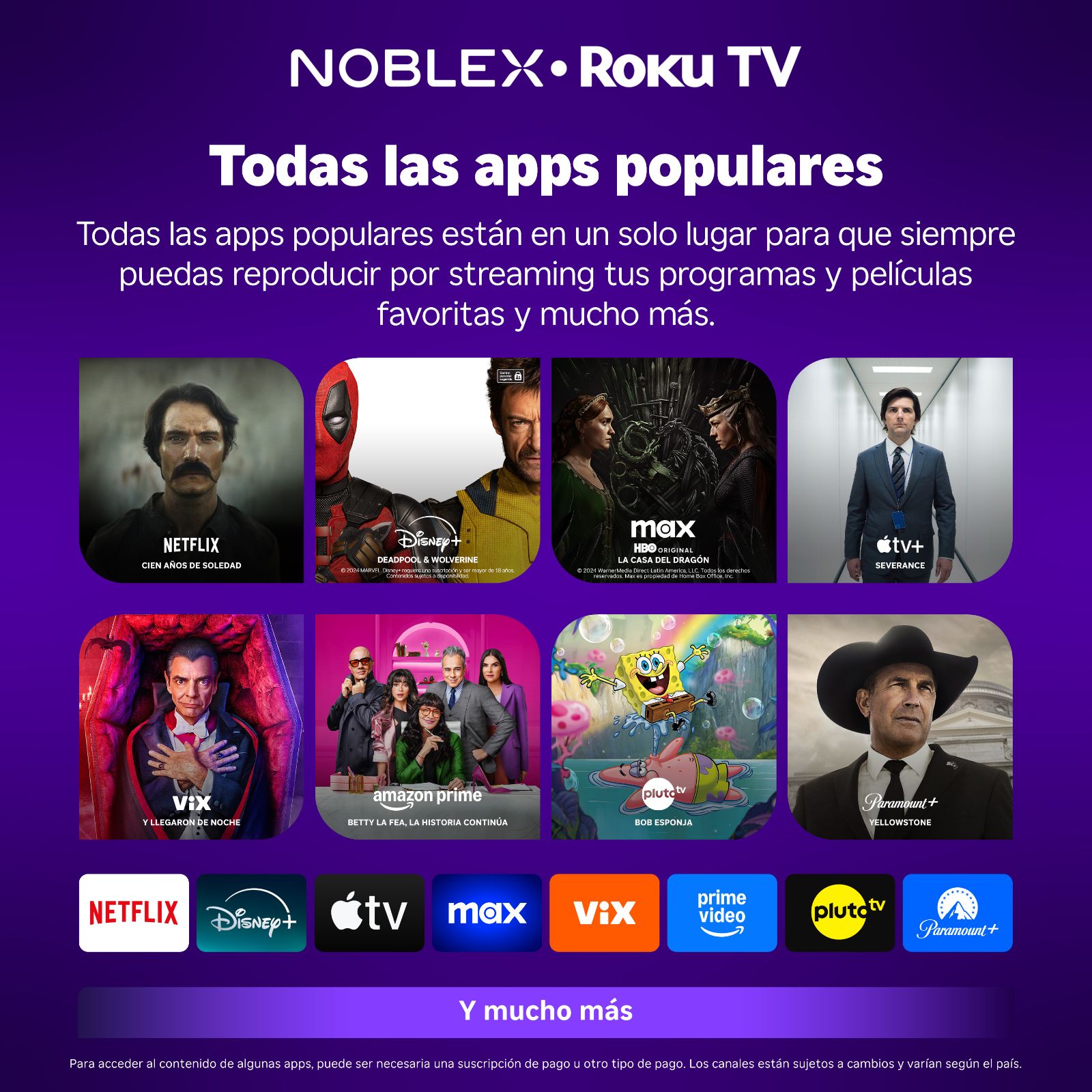 Imagen 6