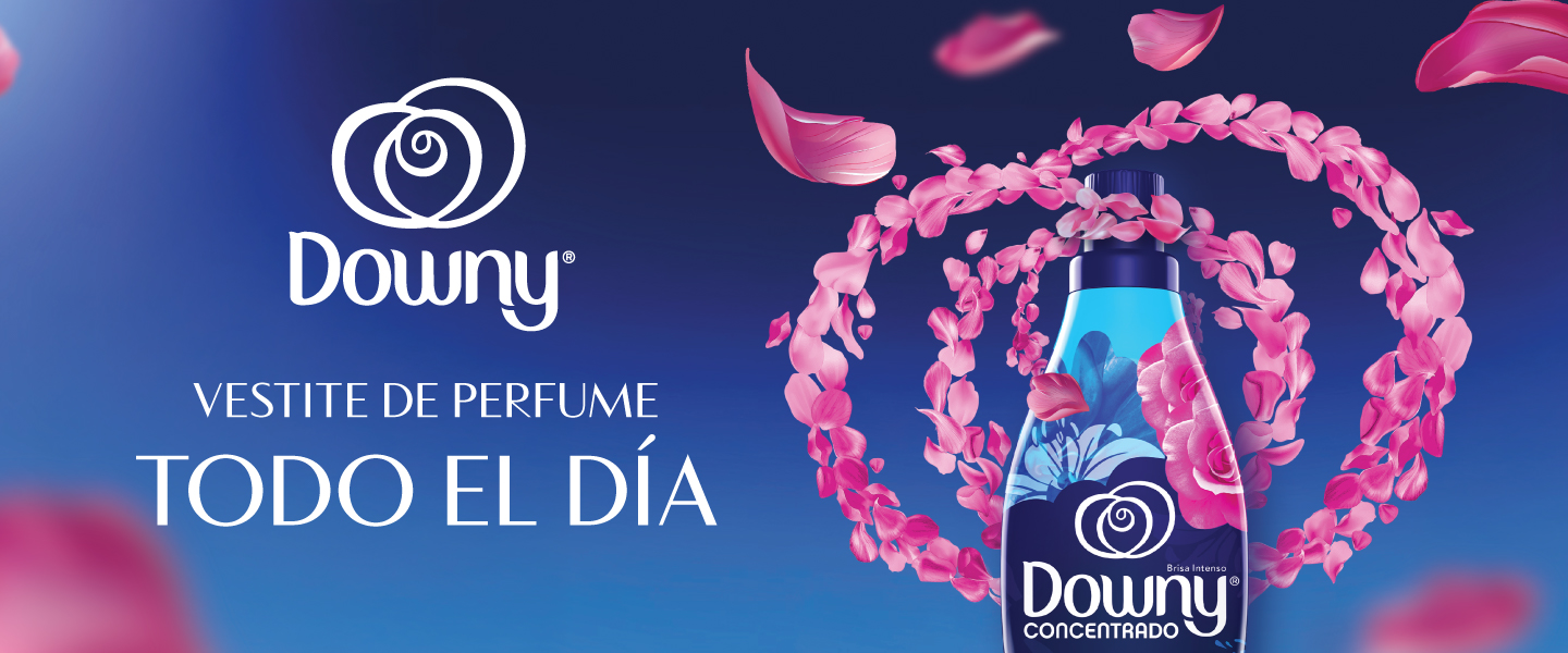 alt text prueba consultar